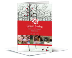 Caroling Christmas Birds Cards with multiple photo 5.50